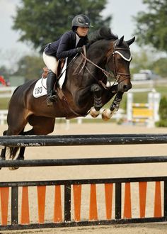 a woman riding on the back of a brown horse jumping over an orange obstacle line