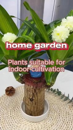 a small potted plant sitting on top of a wooden table next to a sign that says home garden plants suitable for indoor cultivation