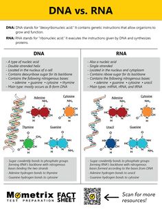 two diagrams showing the differences in different types of proteins and their respective structures, one with