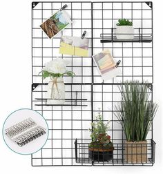 a black wire shelf with plants and pictures on it