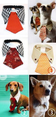 there are many different types of ties on this page, including one with a dog in it