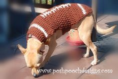 a dog wearing a football sweater sniffing a fire hydrant on the ground in front of a building