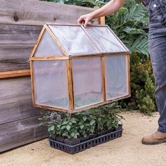 a person holding a small greenhouse in their hand