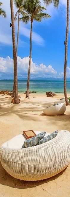 there are two boats on the beach with palm trees