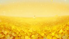 a field full of yellow flowers with birds flying in the sky above it and sunlight shining on them