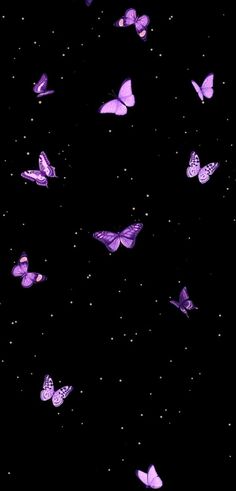 many purple butterflies flying in the dark