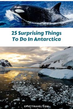 an orca whale swimming in the ocean next to icebergs and mountains with text overlay that reads 25 surprising things to do in antartica