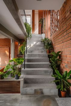 the stairs are lined with potted plants in front of brick walls and concrete flooring