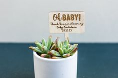 there is a small potted plant with a baby sign in it's center