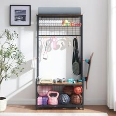 a rack that has some items on it in front of a potted plant and window