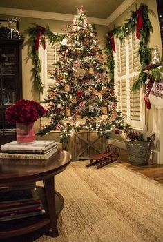 a decorated christmas tree in the corner of a living room with shuttered windows and stockings