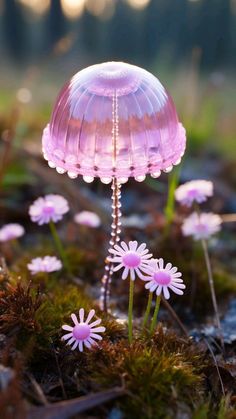 small pink flowers growing out of the ground in front of some grass and dirt with water droplets on them