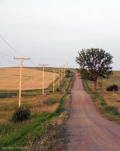 an empty dirt road in the middle of a field with telephone poles and trees on either side