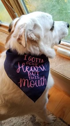 a white dog wearing a bandana that says i got a few years but it's worth