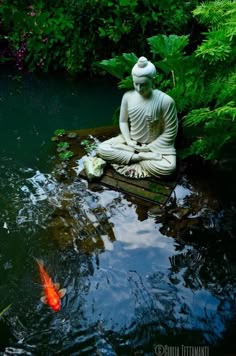 a buddha statue sitting in the middle of a pond filled with fish