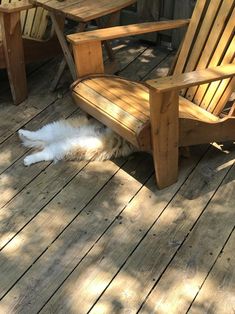 a white dog laying on top of a wooden deck