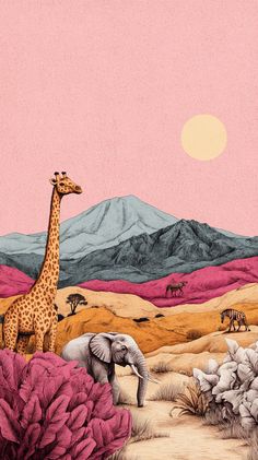 an elephant and giraffe are standing in the desert with pink skies above them