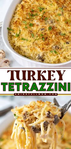 Here's a simple dinner recipe if you're wondering what to do with leftover turkey! This pasta bake is warm comfort food on a plate. Rich and creamy with a crispy bread crumb topping, this easy Turkey Tetrazzini is the BEST! Pioneer Woman Turkey Tetrazzini, Turkey Macaroni Casserole, Turkey Tretazzini Recipe, Turkey Tetrazzini Recipe Easy Cream Of Mushroom, Turkey Tettrazini Recipes, Turkey Tetrazzini Recipe Pioneer Woman, Leftover Turkey Recipes Easy Healthy, Turkey Tetrazzini Recipe Easy, Easy Turkey Tetrazzini