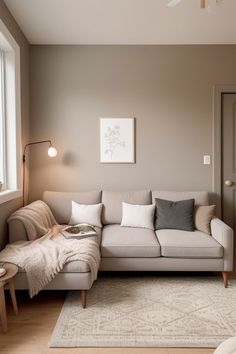 a living room filled with furniture and a white rug