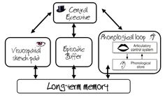 a diagram showing the various types of mental and physical needs for an individual to learn