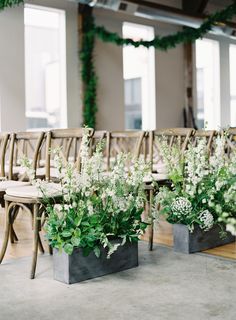 two planters filled with white flowers sit in front of rows of wooden chairs on the floor