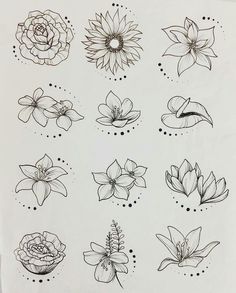 a bunch of flowers that are drawn on paper