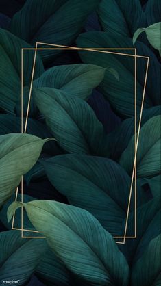 green leaves with gold geometric frame in the middle, surrounded by dark blue and green foliage