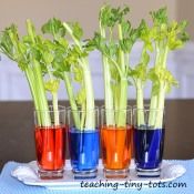 four glasses filled with different colored liquids on top of a blue cloth covered table