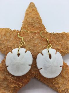 Excited to share the latest addition to my #etsy shop: Sand Dollar Earrings, Gold Sand Dollar Earrings, Silver Earrings, Sand Dollars, Beach Earrings, Summer Earrings, Anniversary Earrings #jewelry #earrings #earwire #beachtropical #girls Sand Dollar Earrings, Ocean Earrings, Gold Sand, Beach Earrings, Starfish Necklace, Sand Dollar, Summer Earring, Seashell Crafts, Shell Earrings