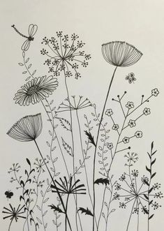 black and white drawing of wildflowers with dragonflies on the top one side