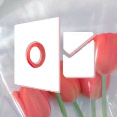 an envelope and some flowers on a clear plastic bag with the letter o in it