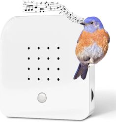 a bird that is sitting on the side of a radio with music notes coming out of it