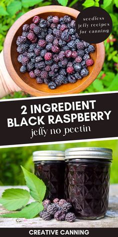 homemade seedless black raspberry jelly no pectin and fresh, foraged black raspberries Jelly Recipes For Canning, Canning Jelly Recipes, Fruit In Jars, Raspberry Jelly Recipe, Canning Fruit Recipes, Recipes For Canning