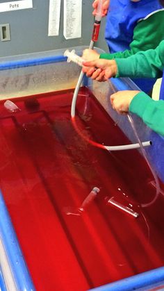 two young children are washing their hands in a tub with red liquid on the floor