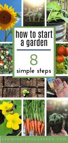 how to start a garden in 8 simple steps with pictures of flowers, plants and vegetables