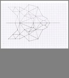 a drawing of an animal's head is shown in the middle of graph paper