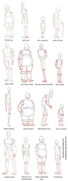 an image of various poses and body shapes for children to learn in the art of animation