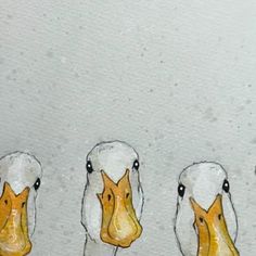 three ducks are standing next to each other