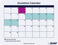 an image of a calendar with the word ovulation calendar