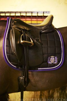 a close up of a horse's saddle with the bridle on it