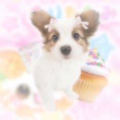 a small dog standing next to a cupcake