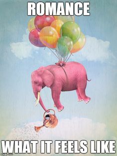 an elephant with balloons floating in the air and captioning what it feels like