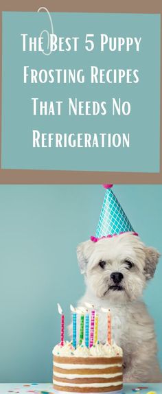 a small white dog sitting in front of a cake with candles on it and the words the best 5 puppy frosting recipes that needs no refrigeration