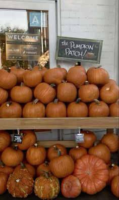 pumpkins and gourds for sale in front of a store