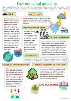 the environmental problem worksheet is shown in this graphic diagram, which shows what happens happen