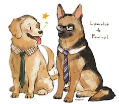 two dogs wearing neck ties sitting next to each other with words written on the back