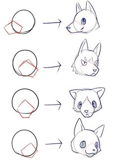 step by step drawing instructions for how to draw an animal head