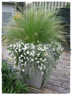 a planter filled with lots of white flowers and greenery next to a wooden deck