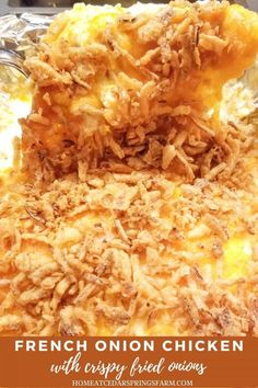 french onion chicken with crispy fried onions in a casserole dish on a plate