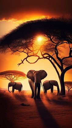 three elephants are standing in front of some trees and the sun is setting behind them